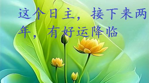 这个日主，接下来两年，有好运降临