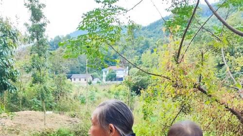 “妈，帮我带下孩子！”——这句请求，是亲情的呼唤，还是甜蜜的“绑架”？