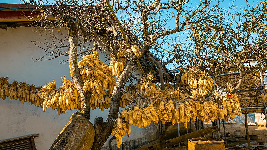 旧时代乡村故事——乡下的干妈