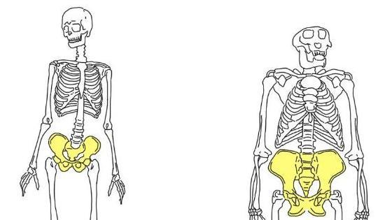 与猛兽为邻，人类婴儿在原始社会真的能活下来吗？