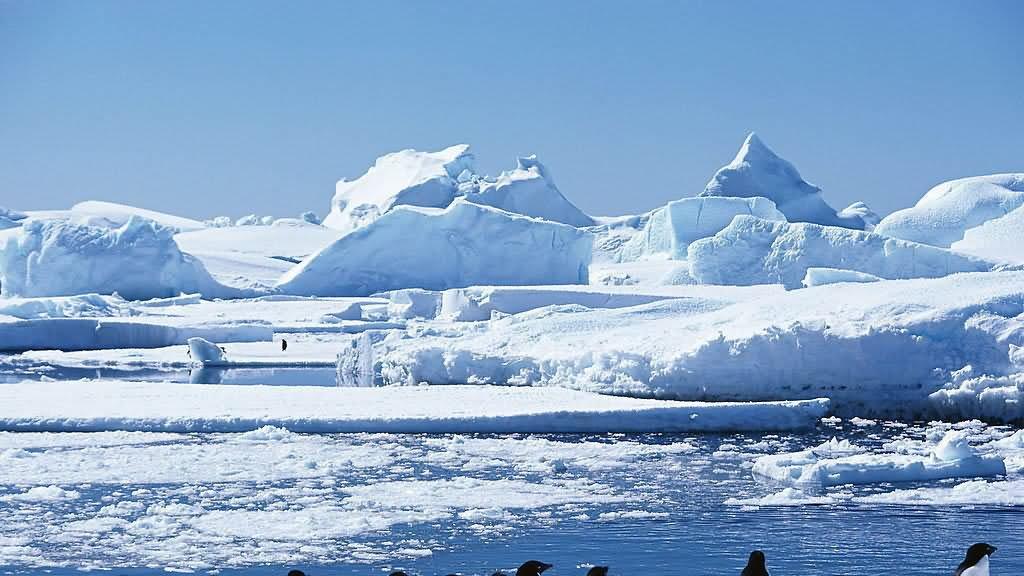 南极科考凯旋背后：零下60℃的坚守与人类未来的探索密码