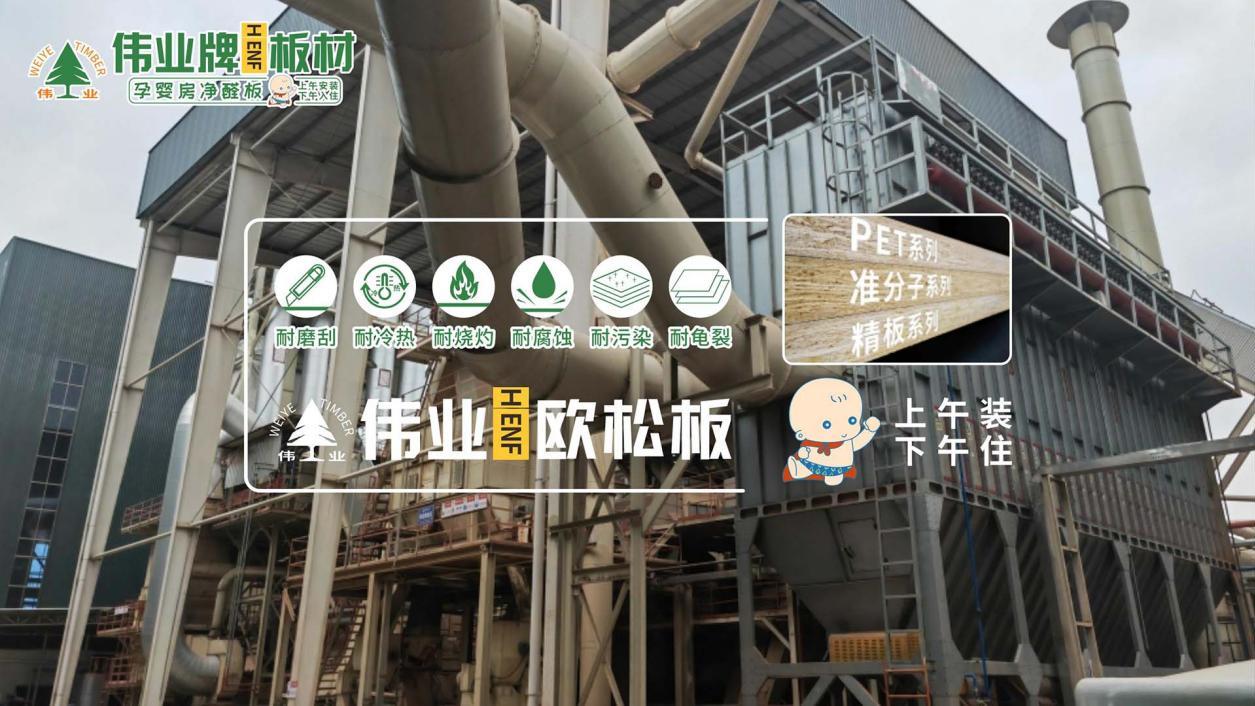 板材选哪些品牌好？2025年板材行业十大高复购率品牌