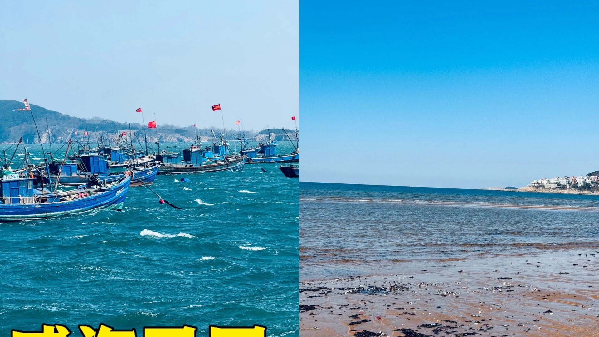 周末威海旅游已回，必打卡的景点与美食