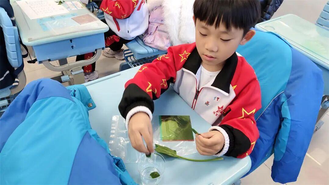 海淀区培星小学：家长进课堂 科普“秋叶变色”奥秘