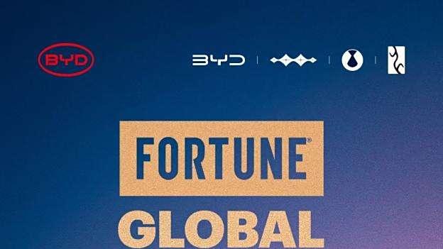 实力领航一路向前，2024年全球车企销量比亚迪排名第五