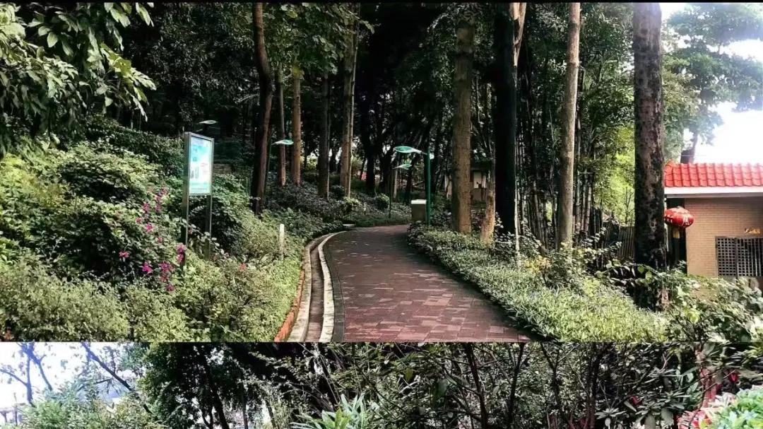 4万+买老黄埔一线江景盘？