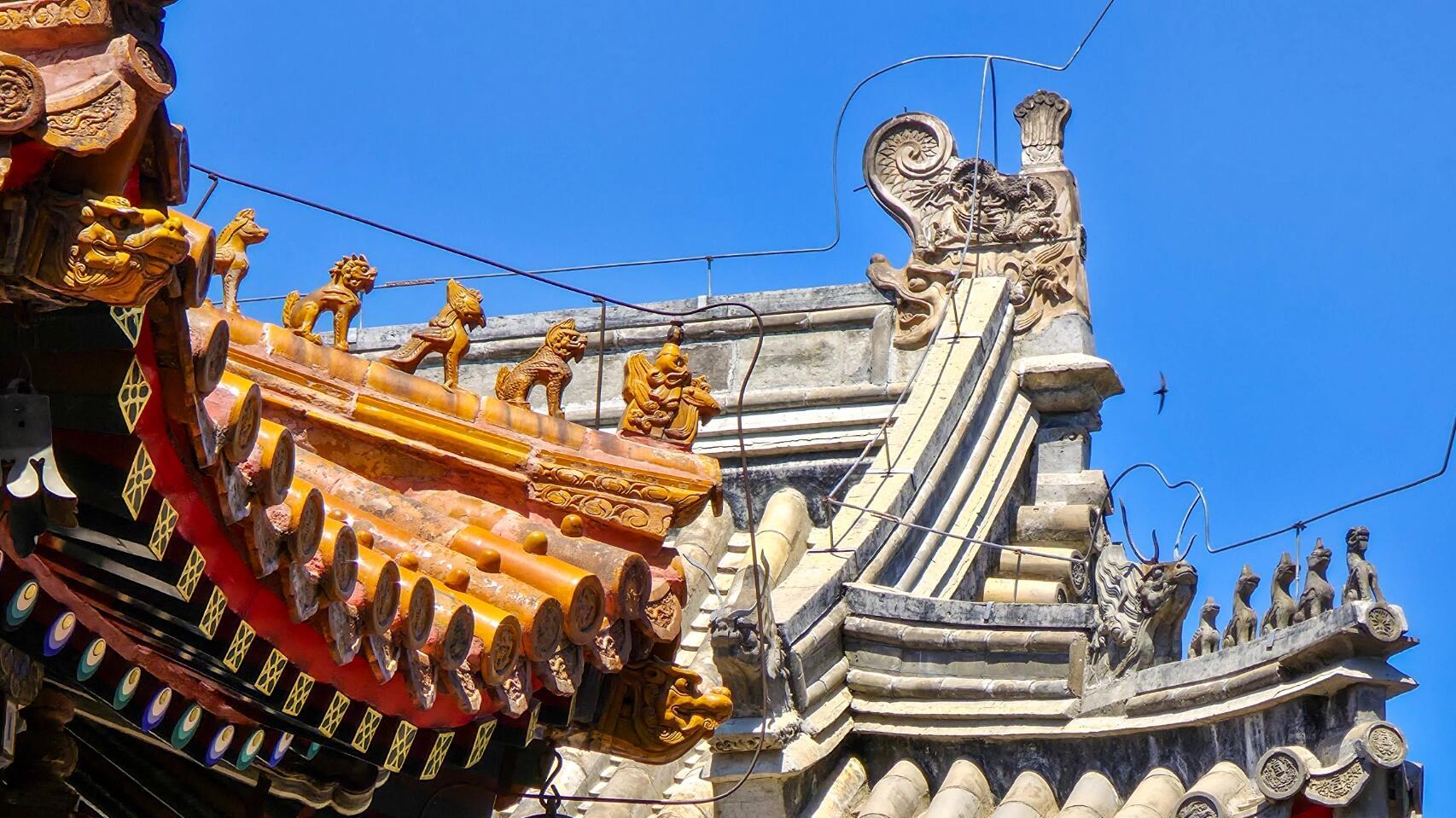 万寿寺盛夏藏故事，乾隆碑刻四体文，73只龟引争议