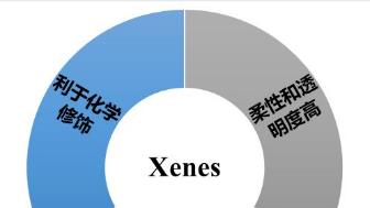 基于霍尔效应测试的Xene二维材料电学特性分析及其应用研究