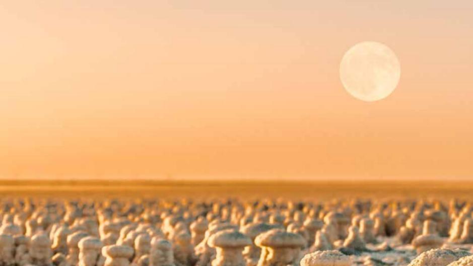 盐湖股份：从“钾肥粮仓”到“白色石油”引擎的生死蜕变