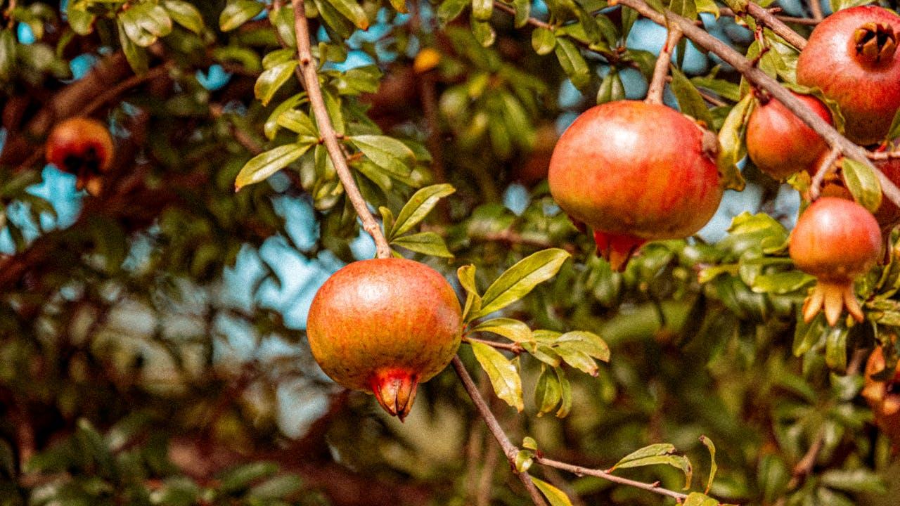 为你写的第一百零六首情诗