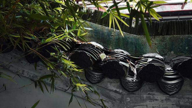 只要中一个，建议你在公司直接躺平