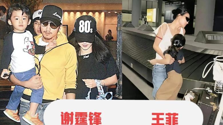 王菲的爱情策略，谢霆锋的选择，张柏芝的淡然：谁才是人生赢家？