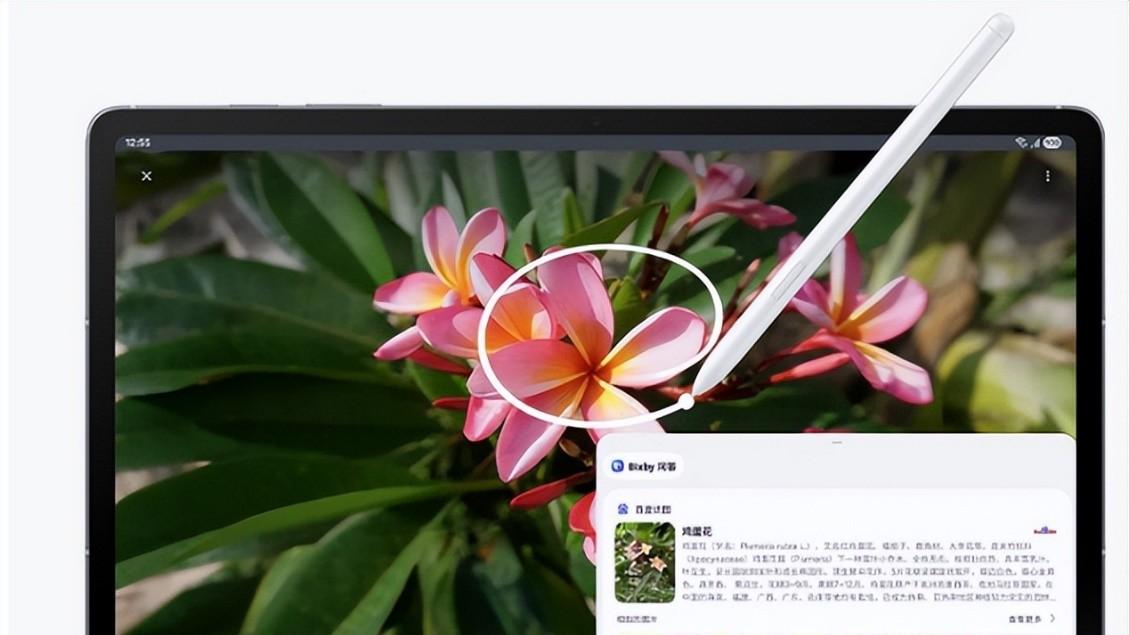 智能大屏 超强书写 三星Galaxy Tab S10 FE为学习赋能