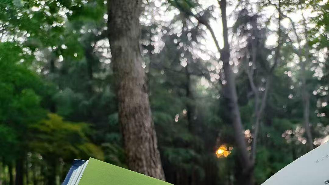 何不花钱买闲？