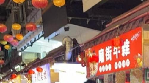 深夜庙街偶遇汪小菲一家四口，小玥儿背影惊艳酷似大S！