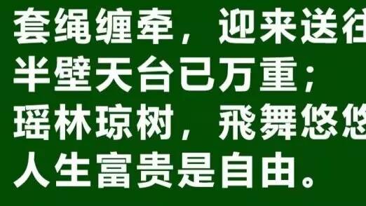 【331】衣冠枭獍与诗中自由：探寻表象之下的真相