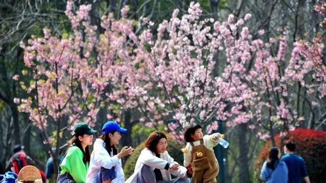 2025年谷雨不一般，60年不遇，三大特点与往年大不同，早看早知道