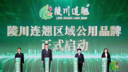 金色产业扬帆，“陵川连翘”区域公用品牌正式发布