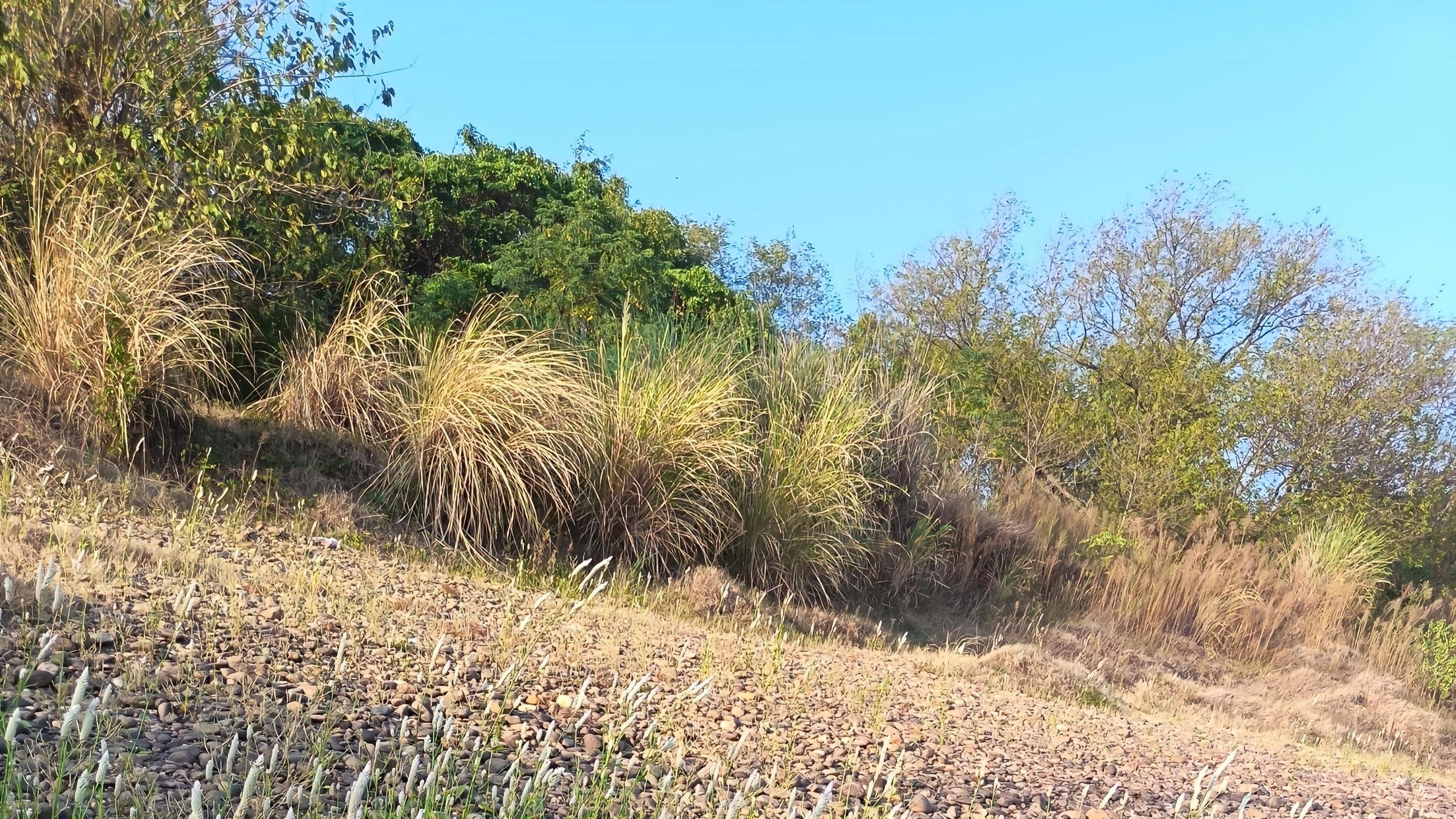 善良的无心怎能敌过贪婪的有意
