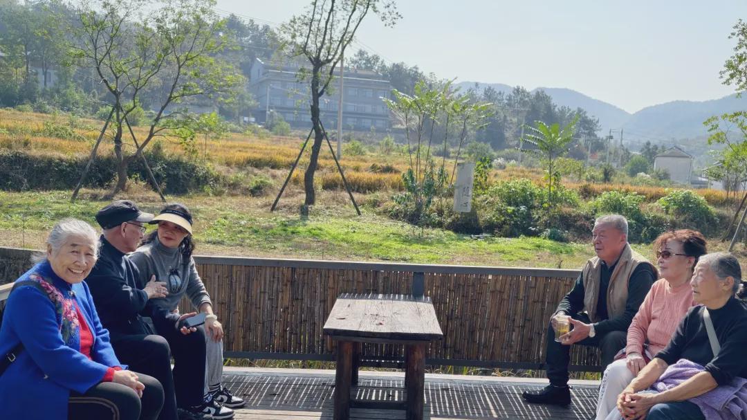 信阳市第一实验小学：稻田赏秋香 金秋迎重阳