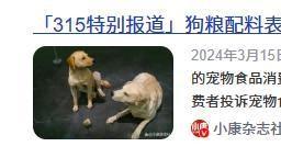 吃猫粮好还是吃自制猫饭好？看这篇再决定！自制猫饭最佳配方分享