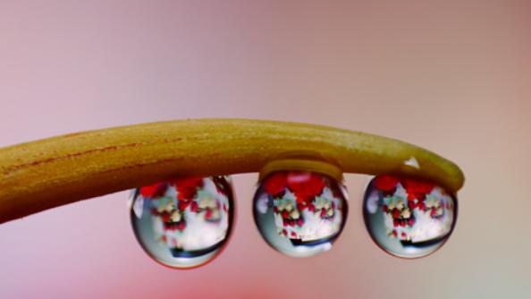 当负面反馈来袭：用SARA模型，把“情绪风暴”变成“成长阶梯”