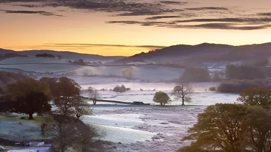 AI安排一切后我们还剩多少感动？