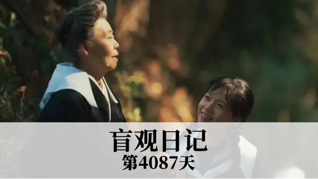 困在小地方的蛙