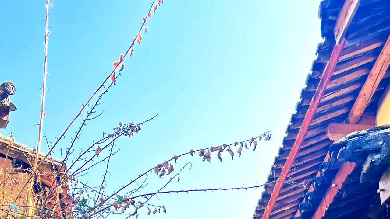 昔日农村剧女神发福游云南



曾经的农村戏女神，现在去哪儿了？



想知道她