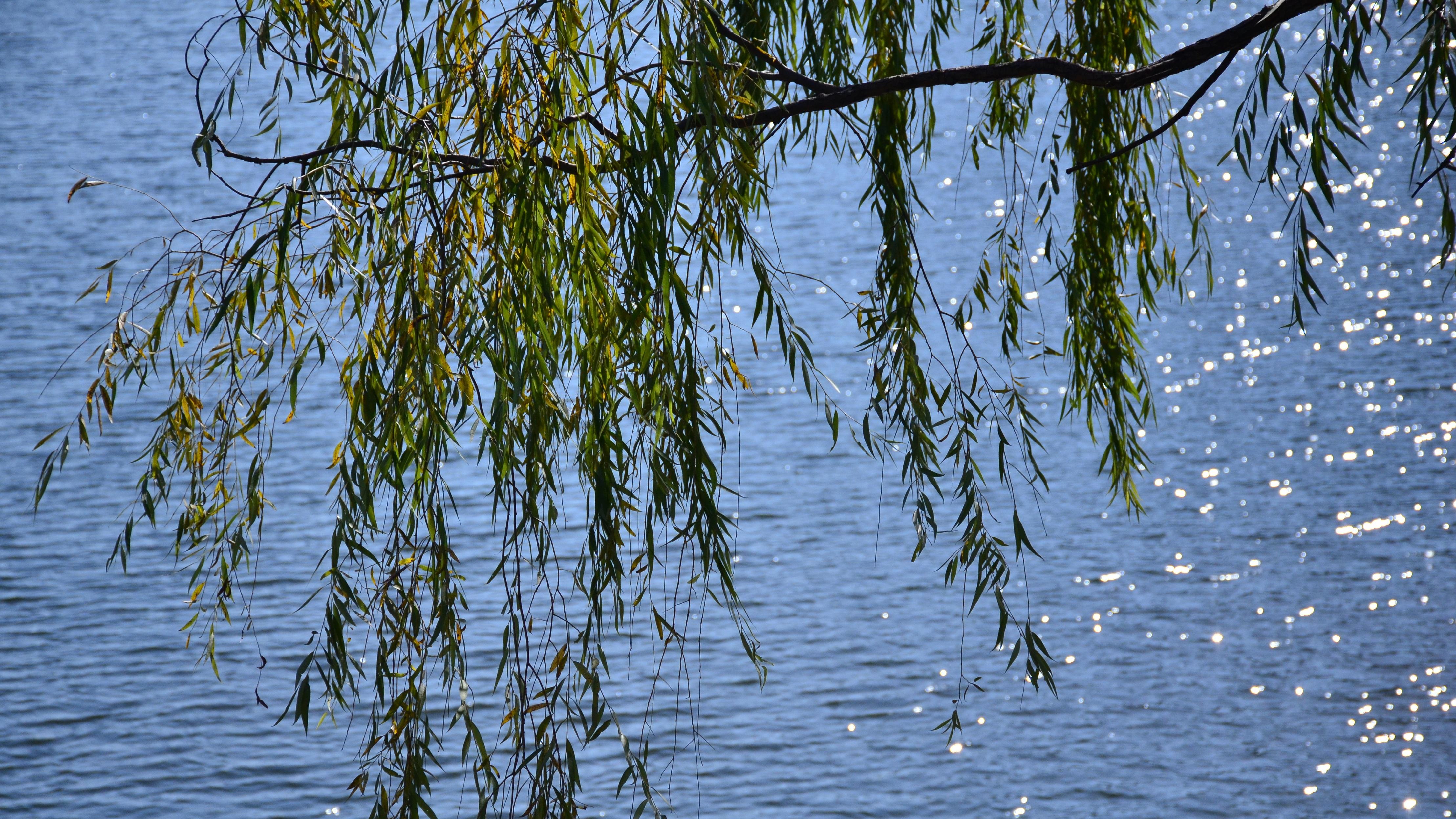 人民币朋友圈扩容记