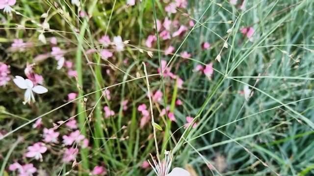 无条件接纳是大坑！越接纳越摆烂，源于家长把躺平的孩子当祖宗供