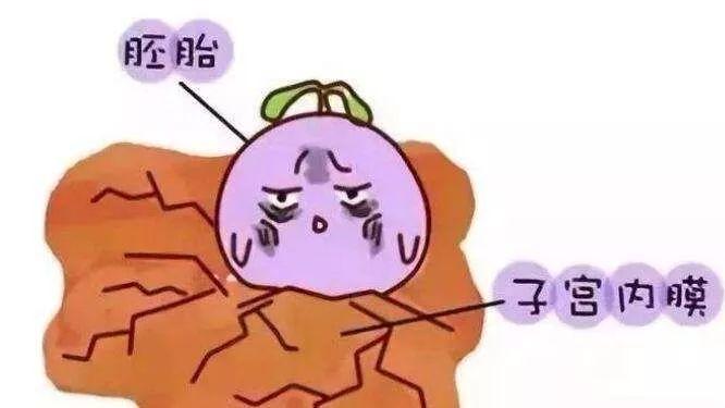 昆明送子鸟：子宫内膜为啥变薄了？还会长起来吗？