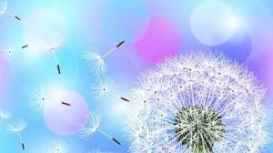 轻言许诺就会得到怨恨