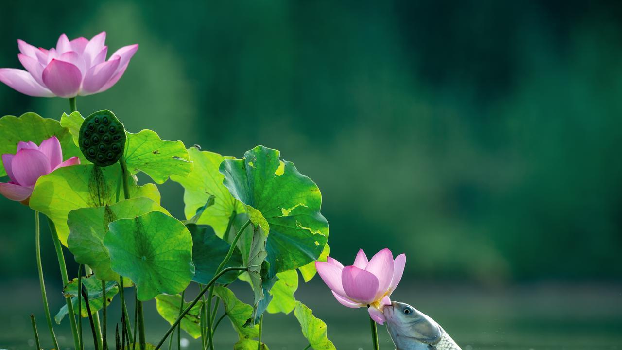 喜欢一个人，有多疯狂多上头，就要有多小心！