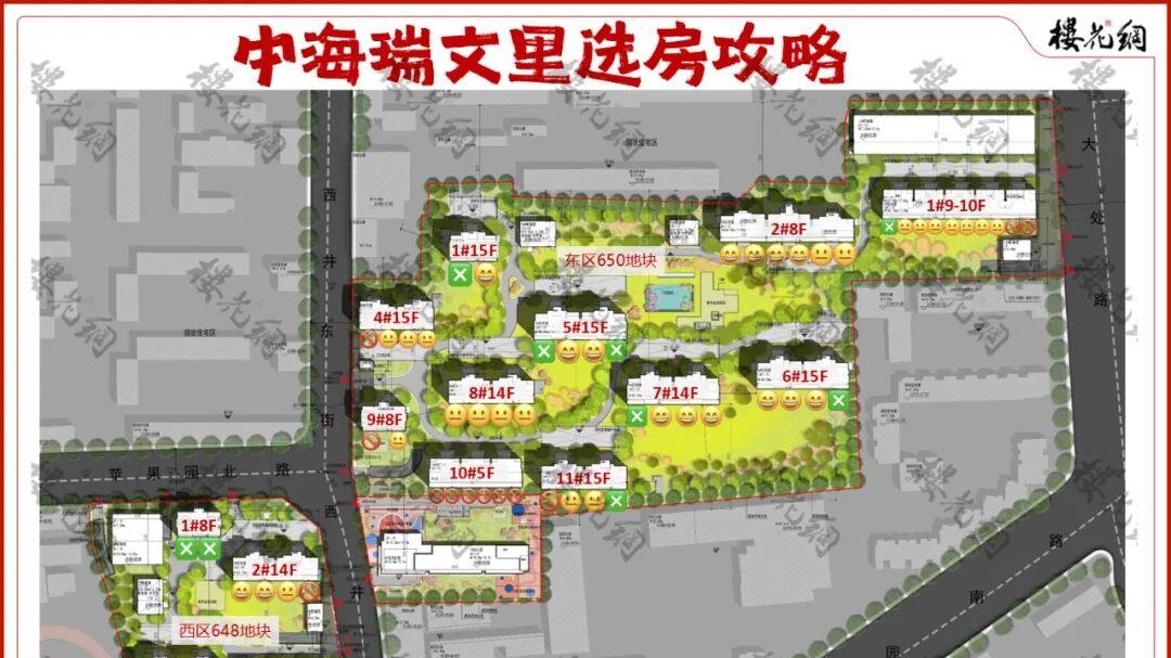 中海新城女掌门张欣，苦盼打翻身仗