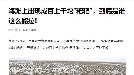 海滩惊现“粑粑”阵，是谁干的？



夏末秋初，北方海滩变身大型工地，遍地都是小