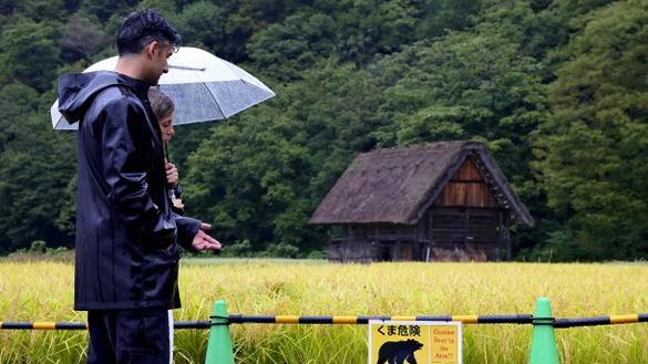 熊患升级：日本黑熊正逼近东京都市圈，白川乡等景区暂停观光活动