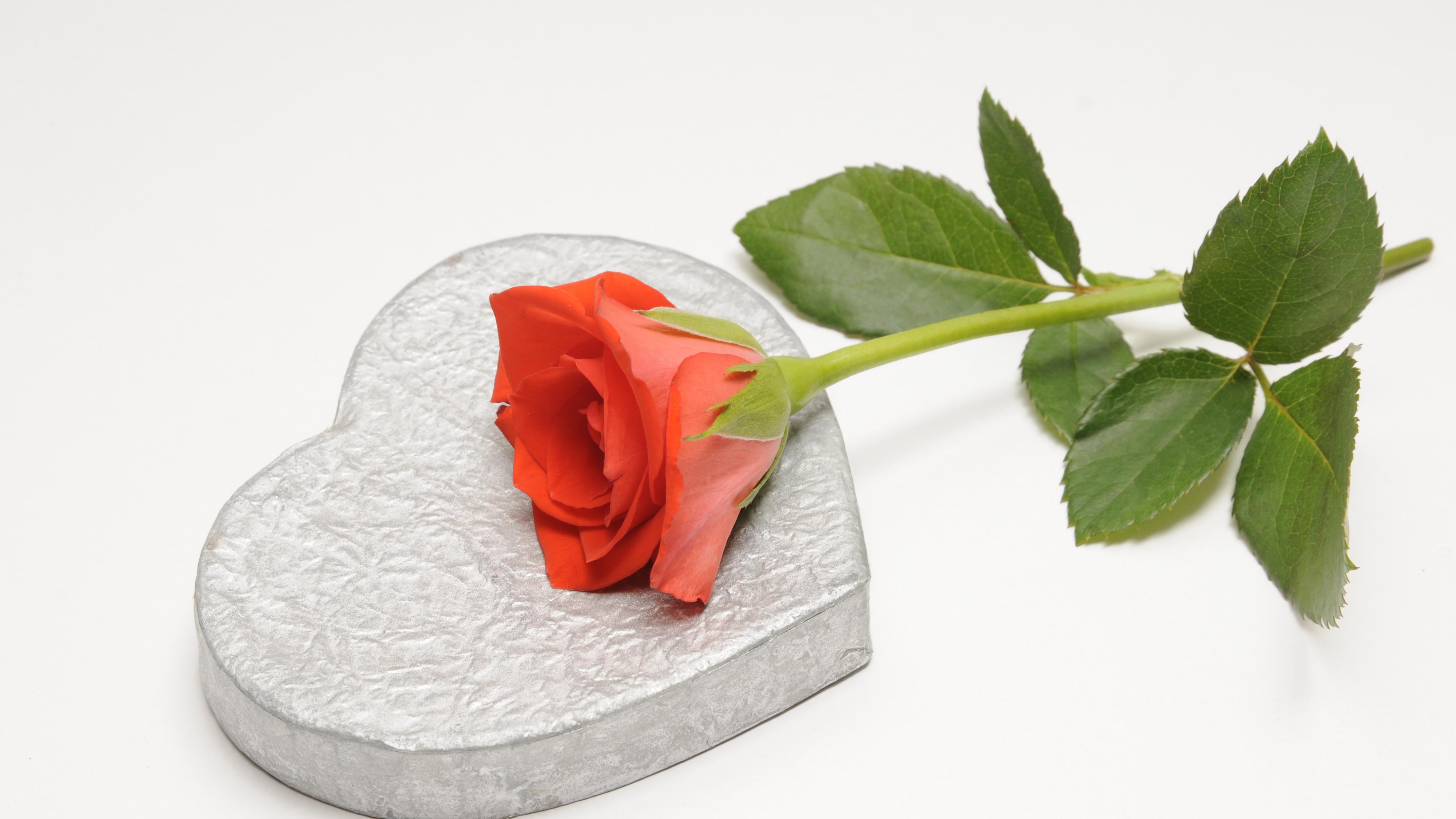 美国关税，究竟在“惩罚”谁？