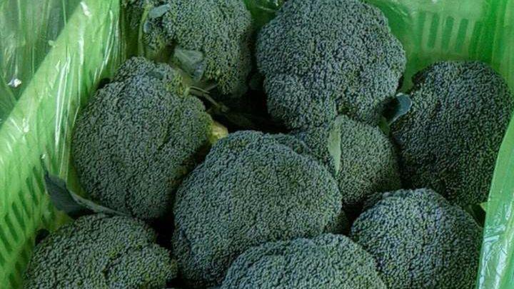 西兰花种植溯源新突破，区块链技术助力，质量安全更有保障