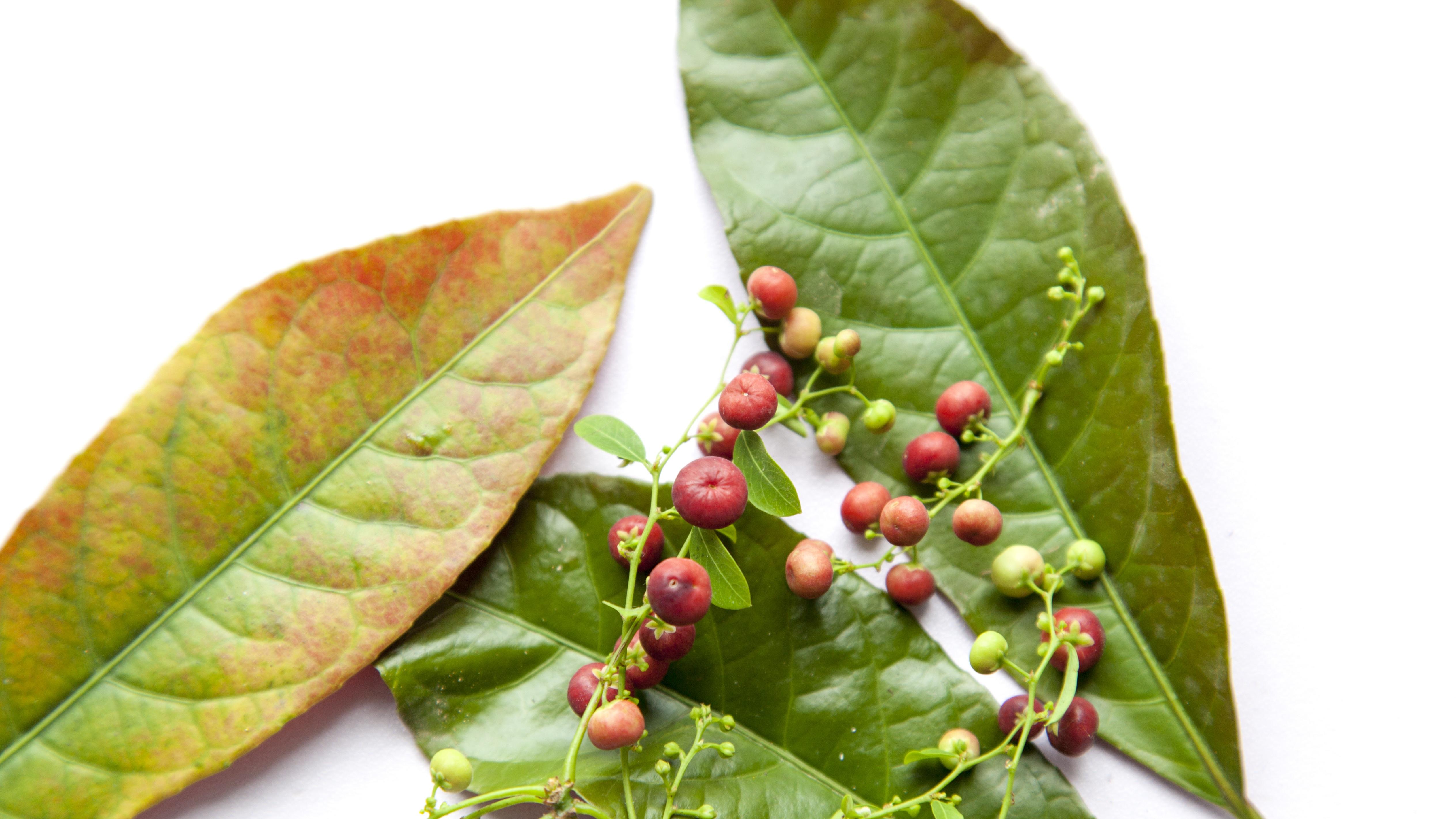 找准科技创新与产业创新的融合着力点