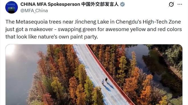 马克龙逛成都：熊猫外交，硬核里子