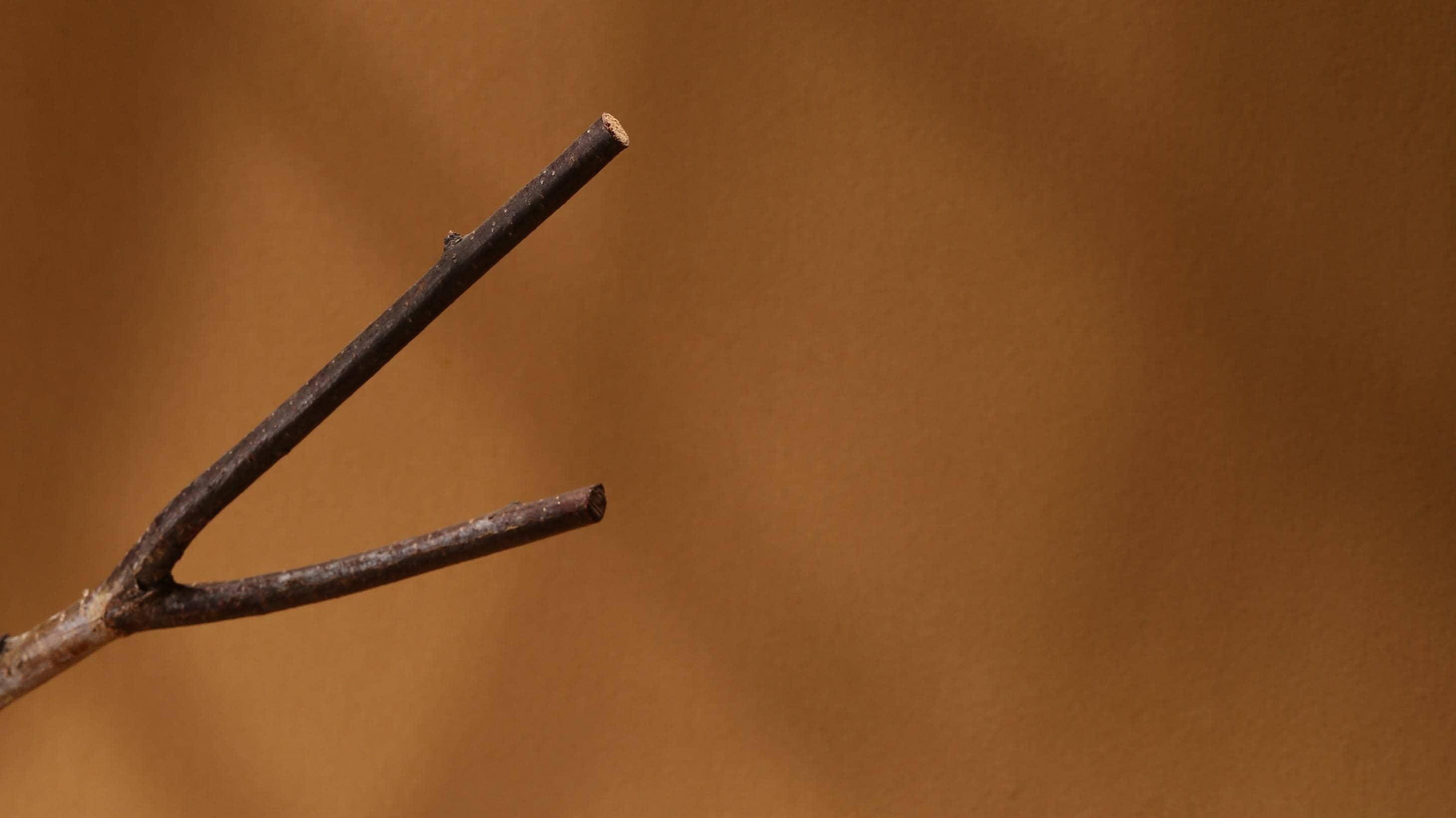 《别再乱买香薰了！先搞清楚这5种扩香方式》