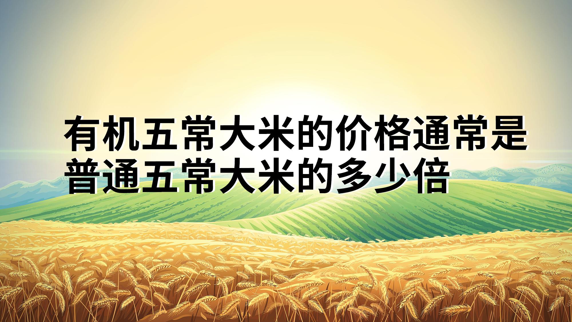 有机五常大米的价格通常是普通五常大米的多少倍