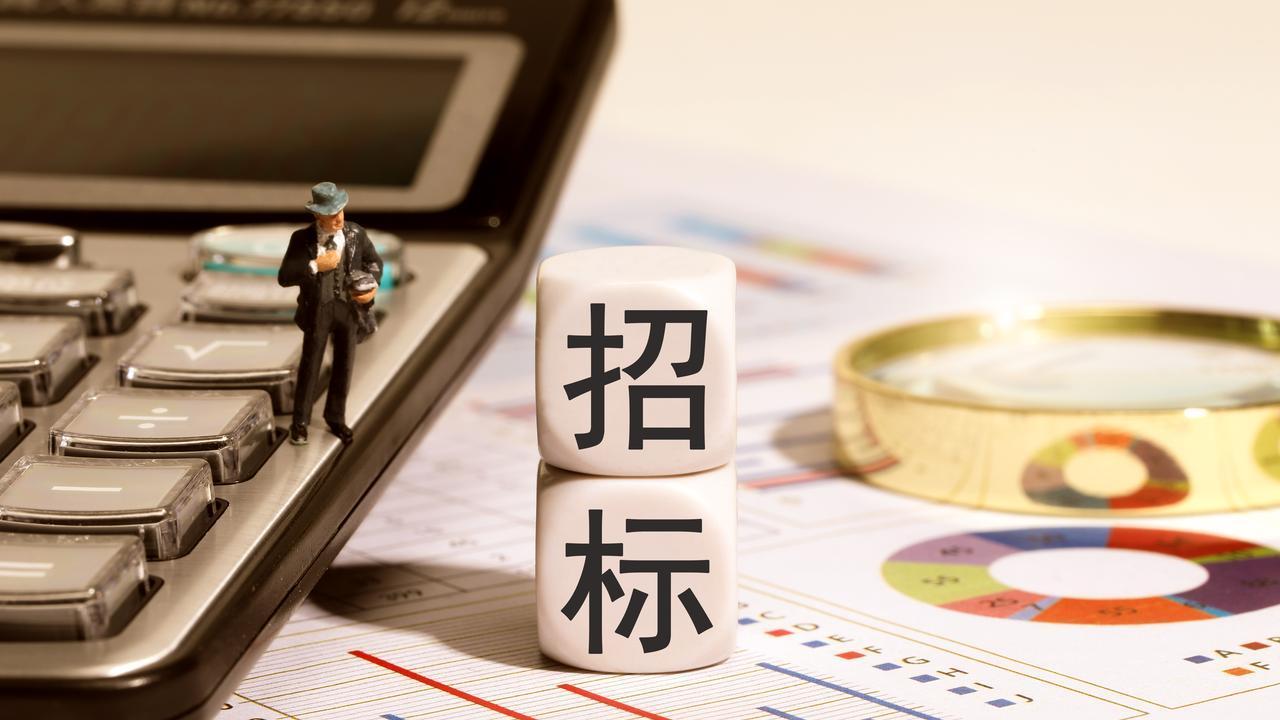 从“体力活”到“系统活”，2025年投标人“找项目”模式正在经历什么变化？