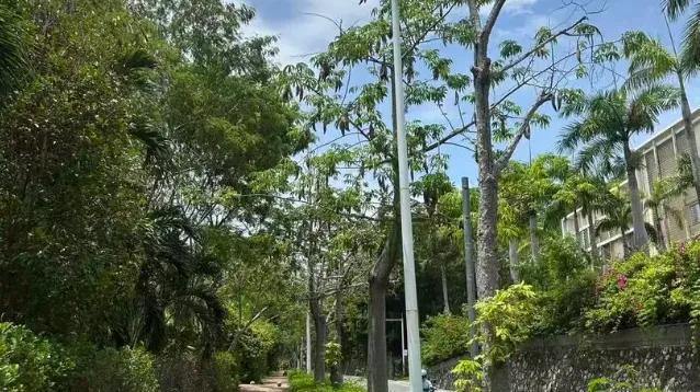 "27岁女孩三亚旅游被咬身亡！家属痛哭质问：医生为何没看出是毒蛇？真相太揪心…"