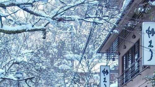 八日九州研学，探秘自然伟力，对话历史回响。