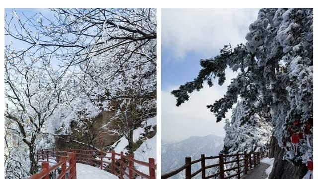 河南洛阳旅游，冬日就来老君山吧！