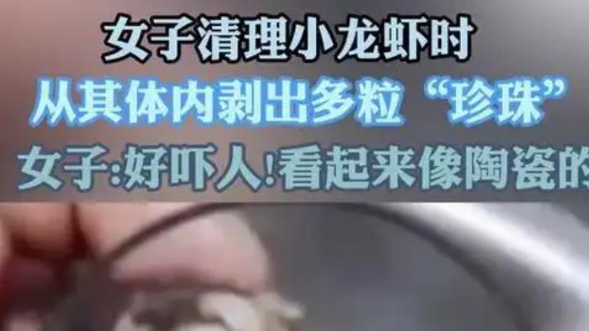 福建一位女士洗虾时发现小龙虾内现"龙珠" ，引起网友热议，专家揭秘真相