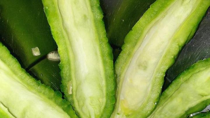 苦瓜种植技术，搭架绑蔓与白粉虱防治，南疆地区幼苗养护实录