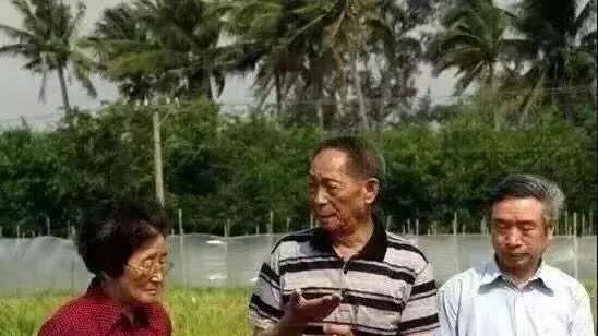 “瓜奶奶”吴明珠如何让西瓜实现“水果自由”？